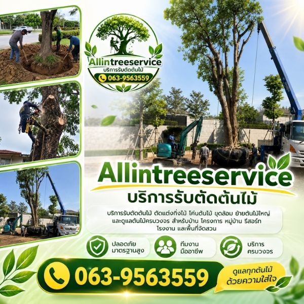ทำไมต้องเลือก AllInTreeService