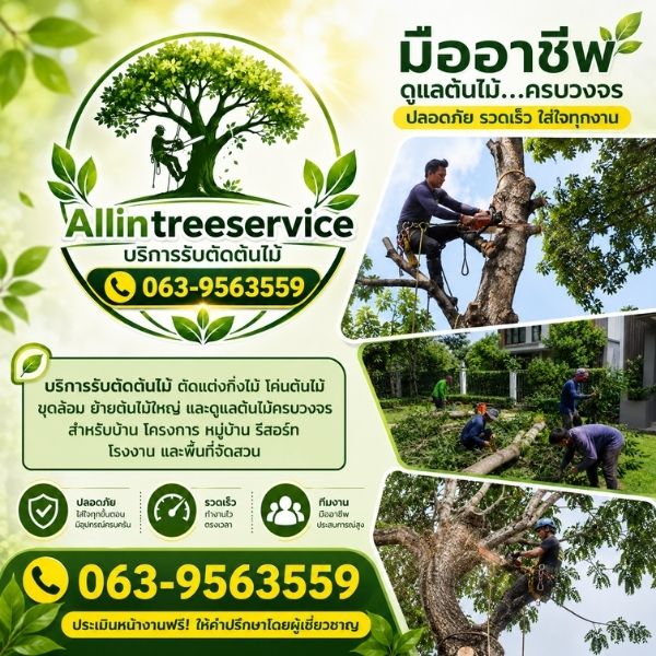 เทคนิคขุดล้อมย้ายต้นไม้ใหญ่ให้รอด