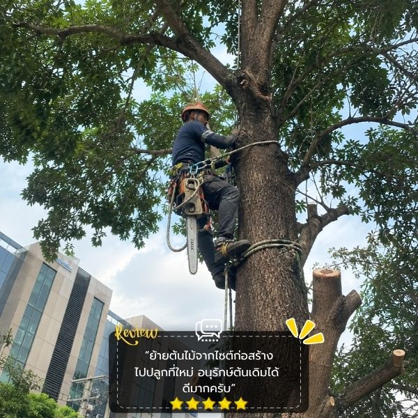รีวิวลูกค้า