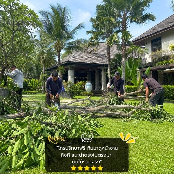 รีวิวลูกค้า