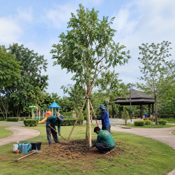 ผลงาน