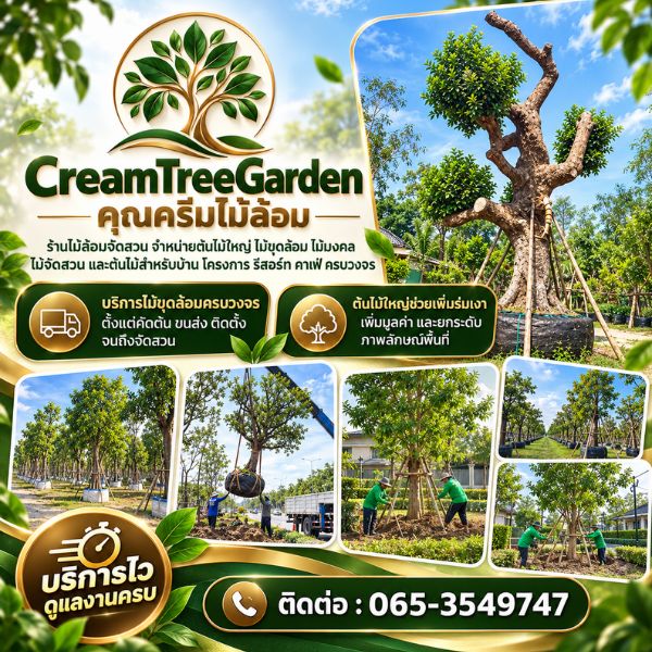 ทีมงานไม้ล้อมจัดสวนมืออาชีพ CreamTreeGarden #01