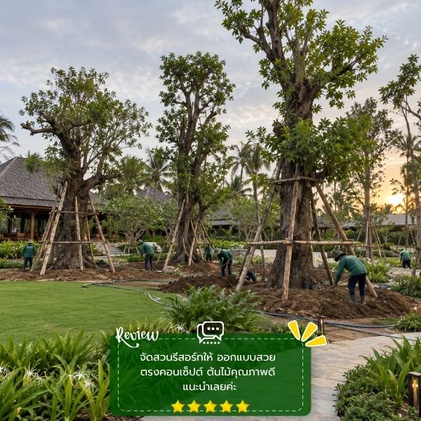 รีวิวลูกค้าผลงานไม้ล้อม-จัดสวน CreamTreeGarden #56