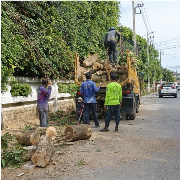 ผลงานเคลียร์พื้นที่รก ClearWaste #9