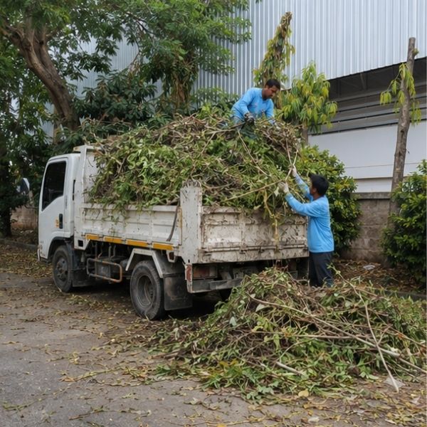 ผลงานขนเฟอร์นิเจอร์เก่า ClearWaste #13