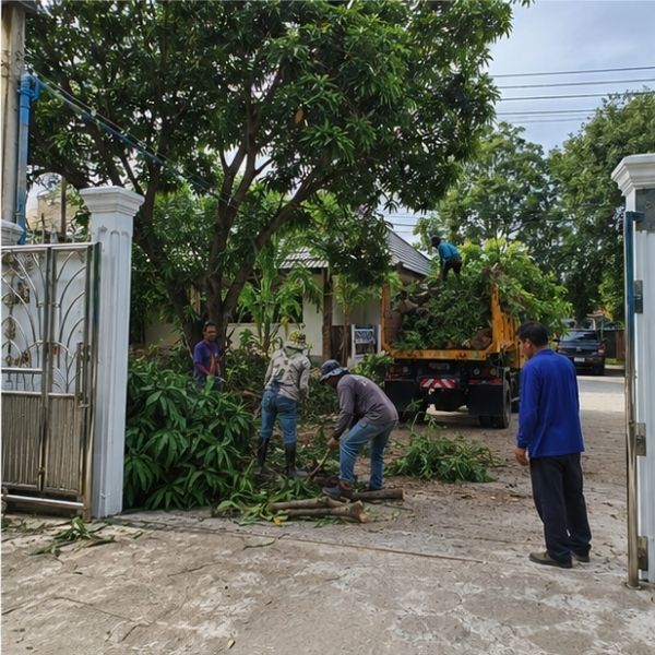ผลงานขนของเก่าออกจากพื้นที่ ClearWaste #8