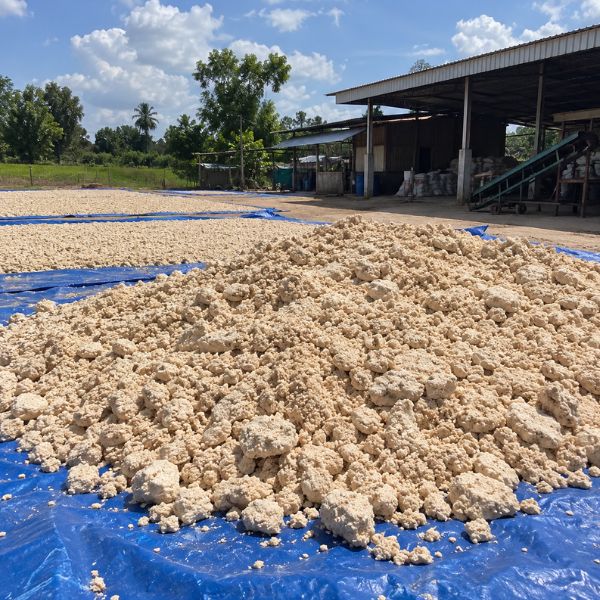 ผลงานส่งอาหารสัตว์ FarmFeedPro #30