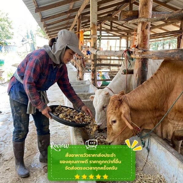 รีวิวลูกค้าอาหารสัตว์ราคาส่ง FarmFeedPro #51