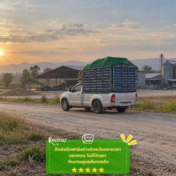 รีวิวลูกค้าอาหารสัตว์ราคาส่ง FarmFeedPro #55