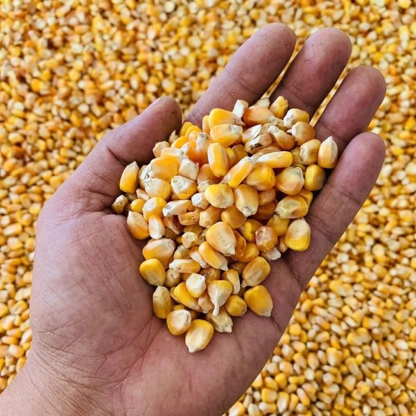วัสดุการเกษตร FarmFeedPro #46