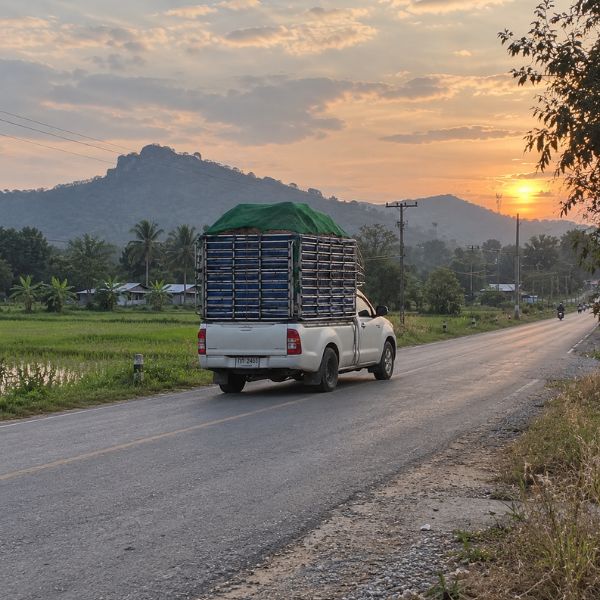 คลังสินค้าอาหารสัตว์ FarmFeedPro #7