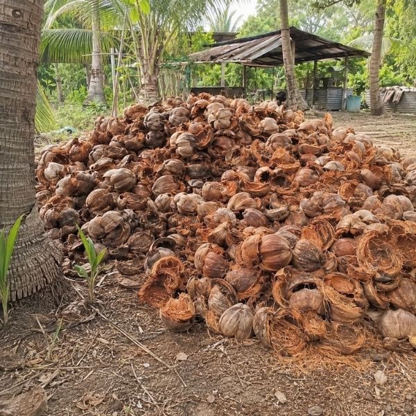 ผลงานจัดส่งสินค้า