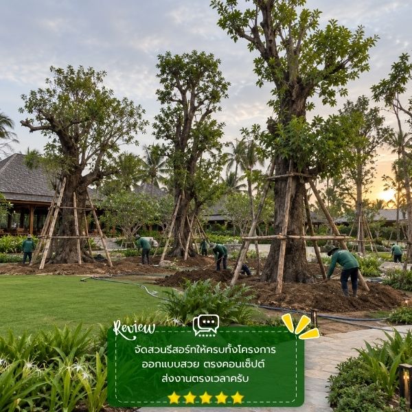 รีวิวลูกค้าผลงานออกแบบ-จัดสวน GardenCraft #55
