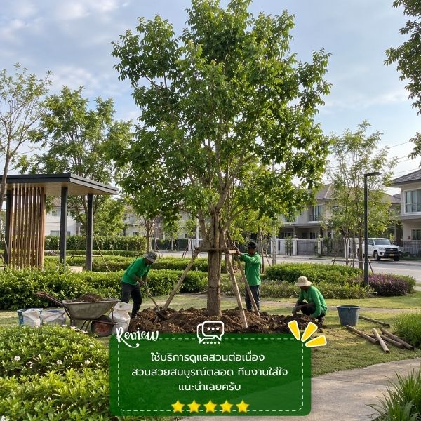 รีวิวลูกค้าผลงานออกแบบ-จัดสวน GardenCraft #57