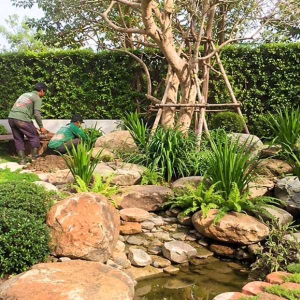 ดูแลสวนและจัดภูมิทัศน์ บ่อวิน · บริการ Gardenpro