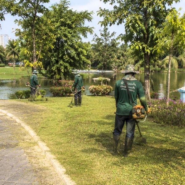 ผลงานจัดสวนบ้าน GreenCut #19