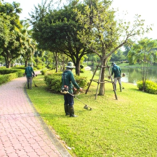 ผลงานปูหญ้าสนามใหม่ GreenCut #20