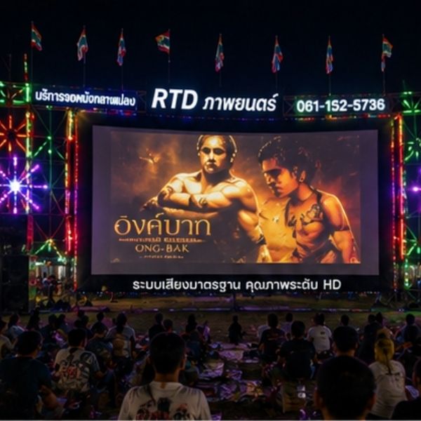 ผลงานหนังกลางแปลง 12