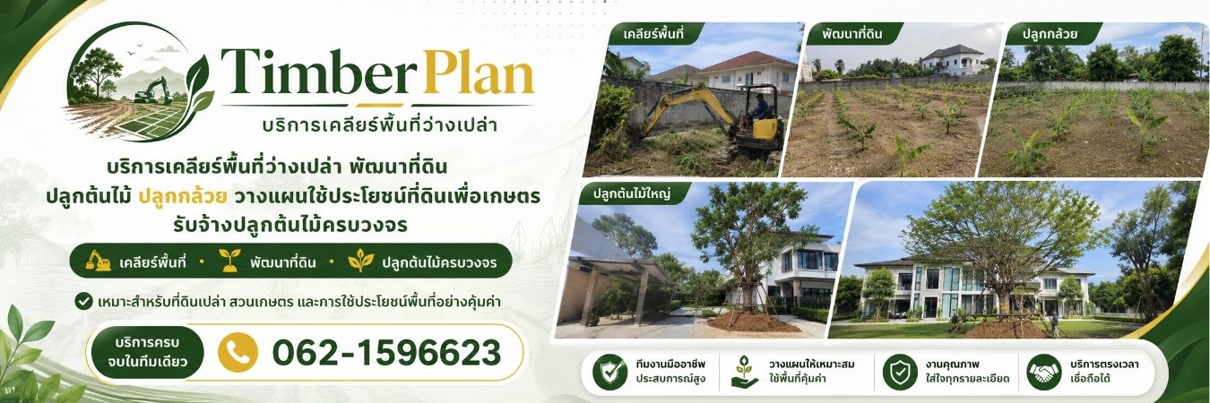 TimberPlan เคลียร์พื้นที่และพัฒนาที่ดินมืออาชีพ