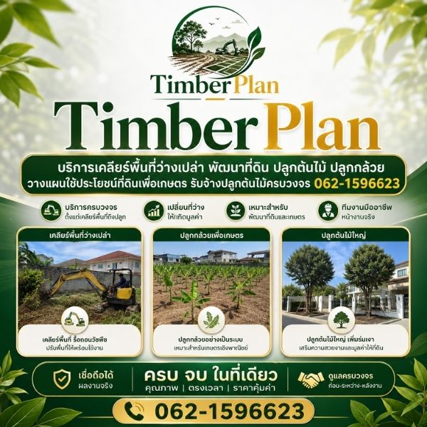ทีมงาน TimberPlan เคลียร์พื้นที่และพัฒนาที่ดินมืออาชีพ