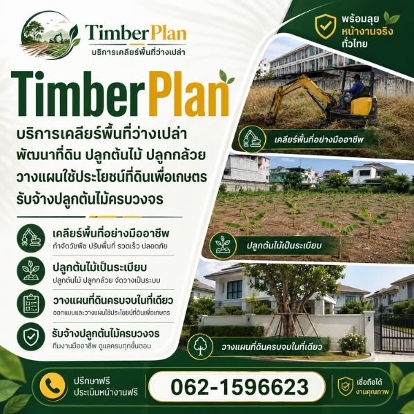 บริการเคลียร์พื้นที่ พัฒนาที่ดิน ปลูกต้นไม้ ครบวงจรโดย TimberPlan