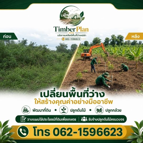 เทคนิคการเคลียร์พื้นที่และปลูกต้นไม้อย่างมืออาชีพ TimberPlan