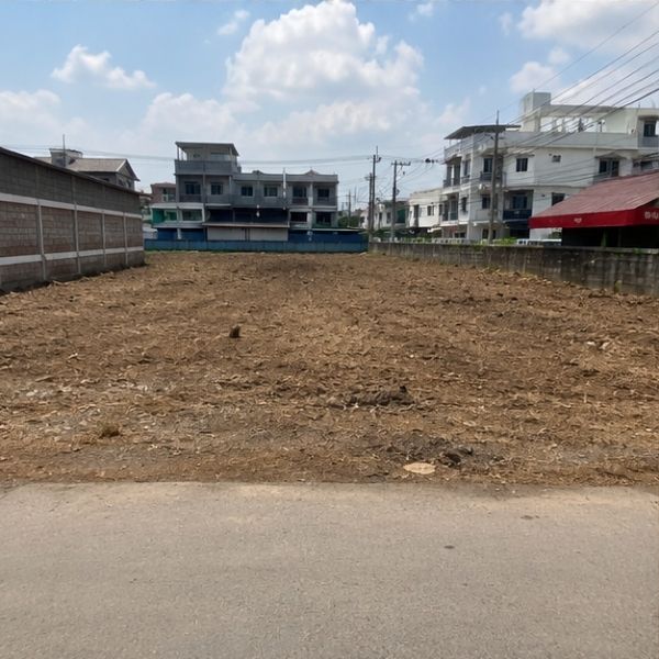 ผลงาน TimberPlan