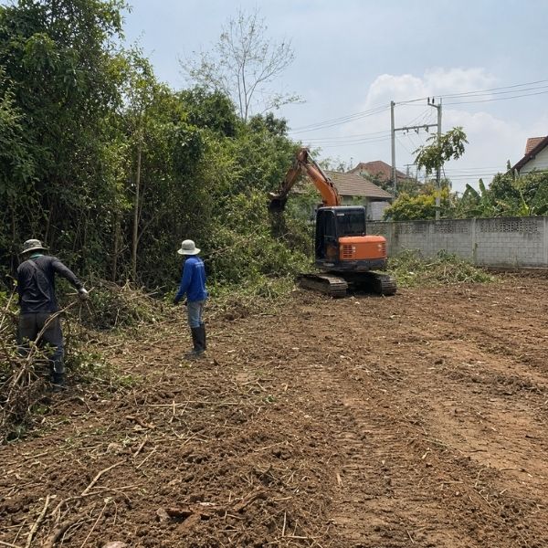 ผลงาน TimberPlan