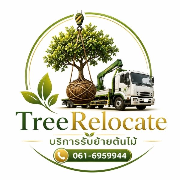 โลโก้ TreeRelocate รับย้ายต้นไม้