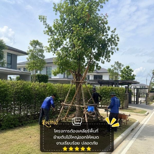 รีวิวลูกค้า