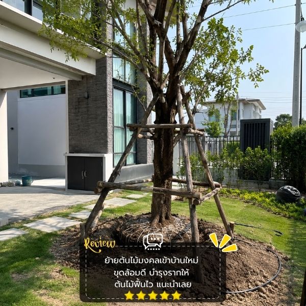 รีวิวลูกค้า