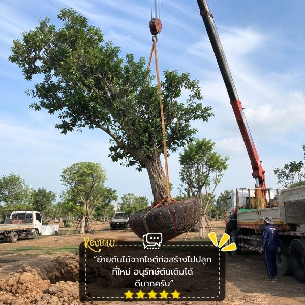 รีวิวลูกค้า