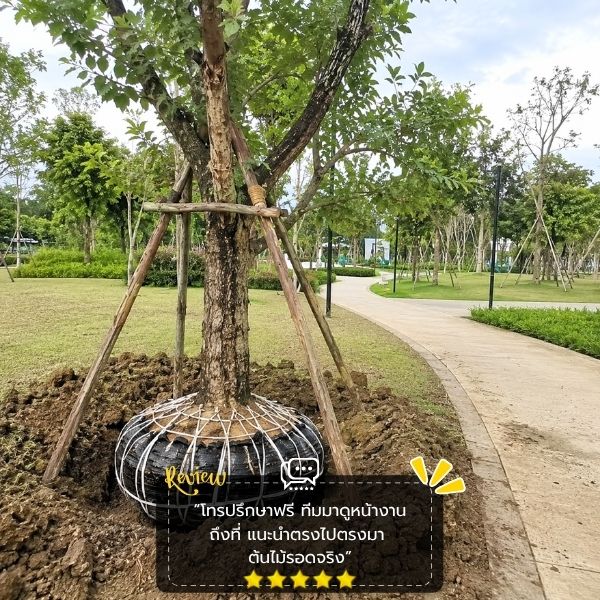 รีวิวลูกค้า