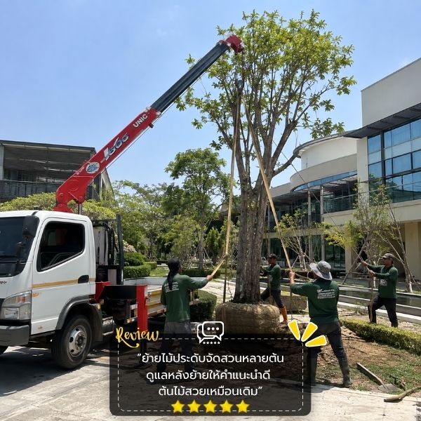 รีวิวลูกค้า