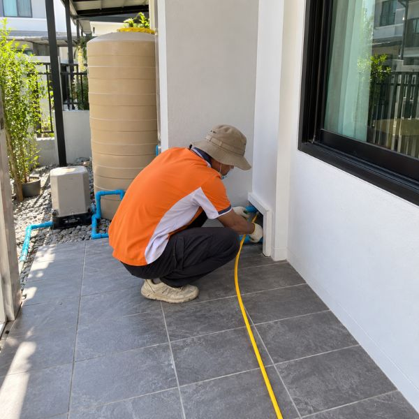 ซ่อมแซมหลังกำจัดปลวก TermiteGuard #38