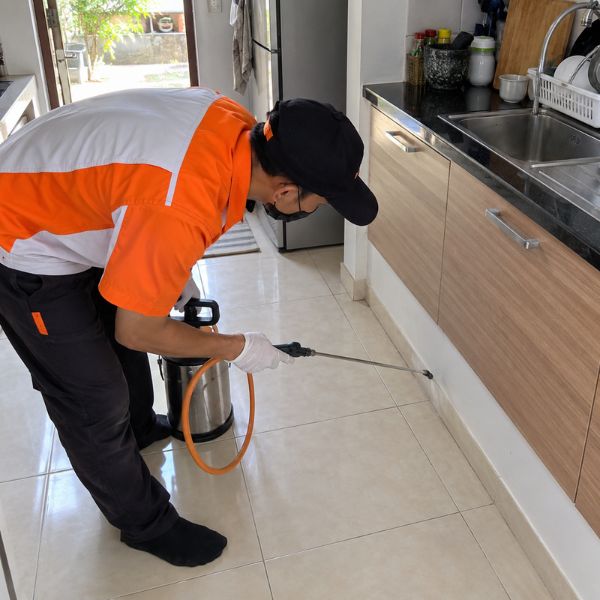 กำจัดปลวกอาคาร-สำนักงาน TermiteGuard #45