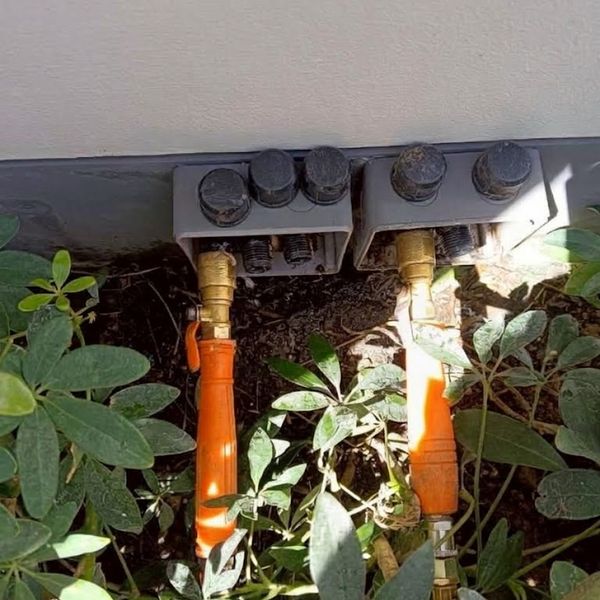 ซ่อมแซมหลังกำจัดปลวก TermiteGuard #48