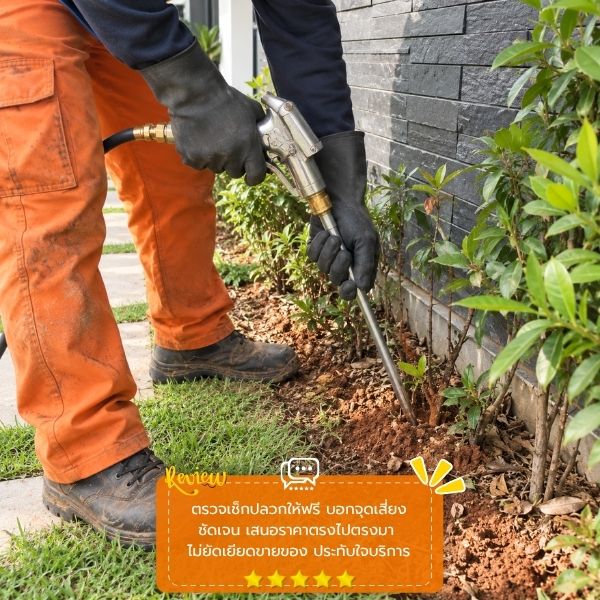 รีวิวลูกค้าผลงานกำจัดปลวก TermiteGuard #55
