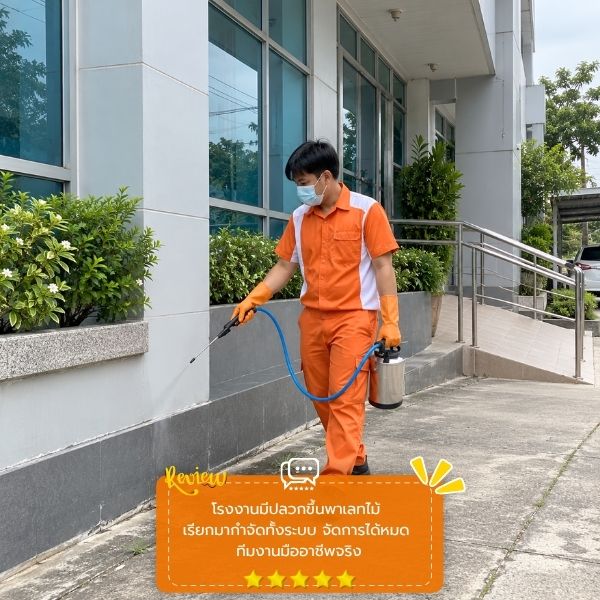 รีวิวลูกค้าผลงานกำจัดปลวก TermiteGuard #57