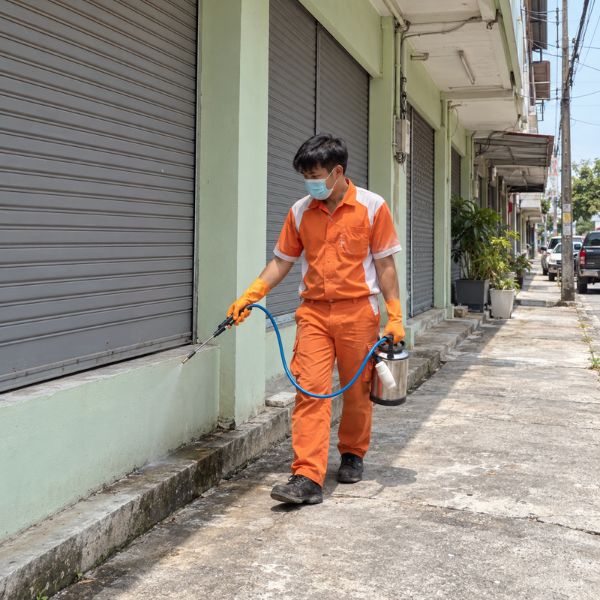 ซ่อมแซมหลังกำจัดปลวก TermiteGuard #8