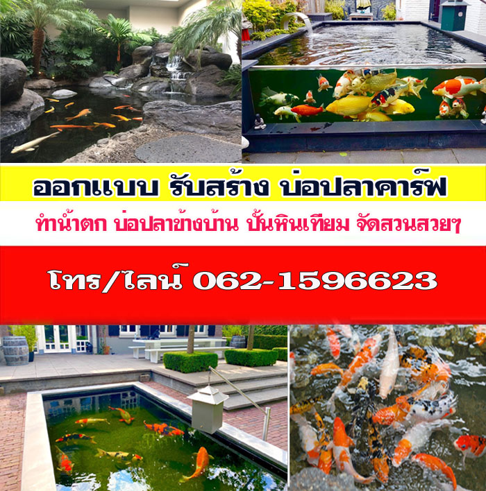 ทำบ่อปลาแพงไหมอำเภอกระทุ่มแบน โทร 062-1596623