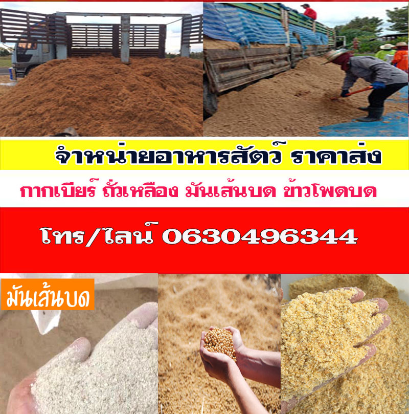 อาหารสัตว์จรัญสนิทวงศ์