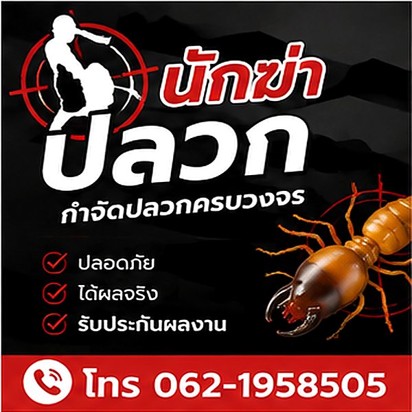 บริการกำจัดปลวกด่วนแบบเป็นมิตร