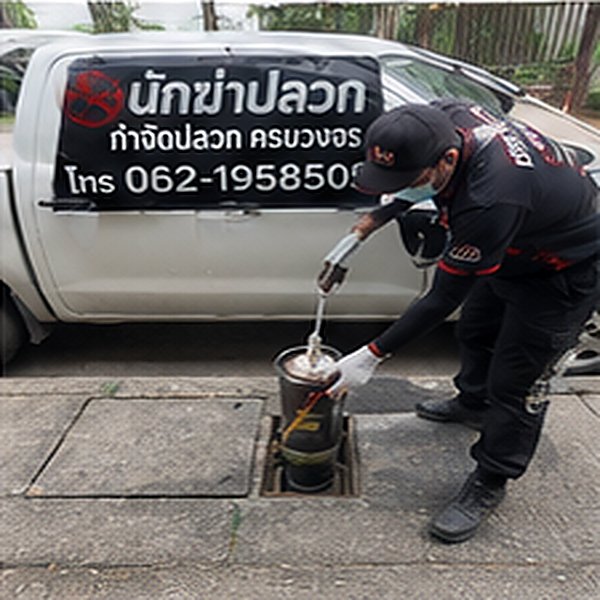 ตรวจโครงสร้างไม้ที่ถูกปลวกกินและแนะนำการซ่อม