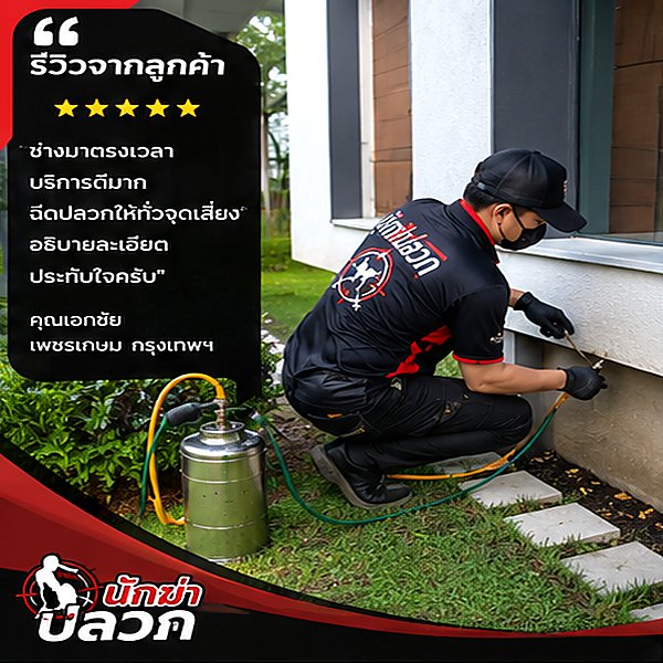 รีวิวผลงานกำจัดปลวกจากลูกค้าจริง ภาพที่ 1