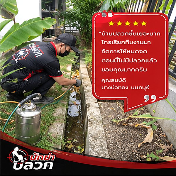 รีวิวผลงานกำจัดปลวกจากลูกค้าจริง ภาพที่ 3