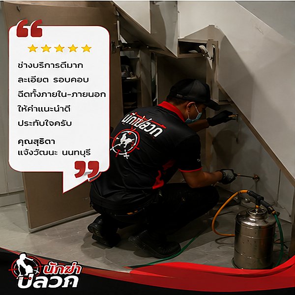 รีวิวผลงานกำจัดปลวกจากลูกค้าจริง ภาพที่ 4