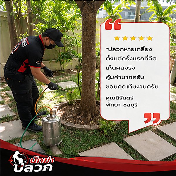 รีวิวผลงานกำจัดปลวกจากลูกค้าจริง ภาพที่ 6